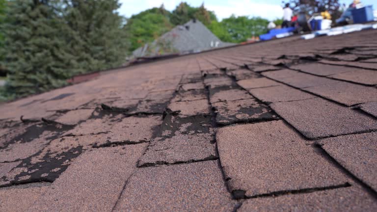 Best Roof Maintenance and Cleaning  in Morro Bay, CA